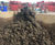 Packaged plant reduces water usage at washing plant 2