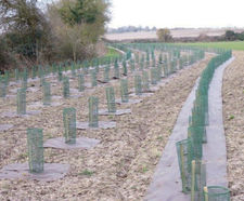 Biodegradable weed suppression mats
