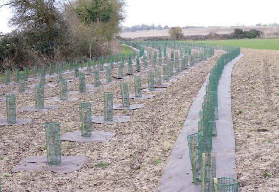 Biodegradable weed suppression mats Rainbow Professional ESI