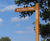 Rustic Oak Fingerpost - outdoor timber wayfinding 5