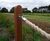 Oak signage for natural burial ground - Old Park Meadow 3