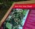 Interpretation and activity trail signage - Tilgate Park 3