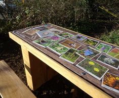 Interpretation and welcome signs for picnic site