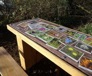 Interpretation and welcome signs for picnic site