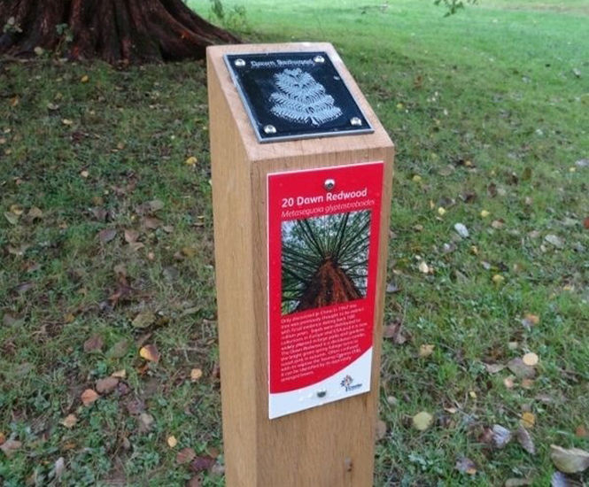 Activity Trail Waymarker Post - oak signpost for trails and parks