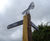 Interpretation and wayfinding signage for wild art trail 10