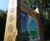 Oak interpretation and orientation signs - Chorleywood Common 9