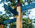 Grenadier™ - oak and aluminium fingerpost 0