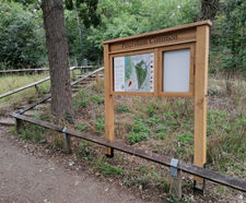 Orientation and interpretation signs - Petersham Common