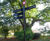 Wayfinding and interpretation signage for country park 7