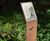 Corten weathering steel lecterns for wetland habitat 4