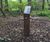 Corten weathering steel lecterns for wetland habitat 0