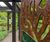Corten steel interpretation signage for botanical garden 8