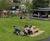 Three playground areas, Brockwell Park, Lambeth 3