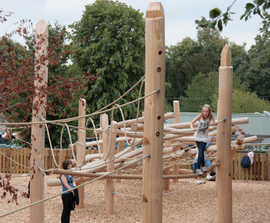 Timber Climbing Forest