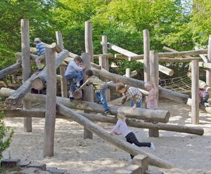 Climbing Structure 07 play equipment