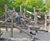 Climbing Structure 07 - wooden playground climbing frame for children 1