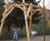 Richter Spielgerate Partner Swing 0