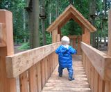 High Lodge, Thetford Forest - on this page
