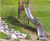 Open Slide - stainless steel playground slide for parks and schools 7