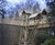 Adventure play aerial walkway, Alnwick Gardens 3