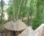 Adventure play aerial walkway, Alnwick Gardens 8