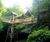 Adventure play aerial walkway, Alnwick Gardens 9
