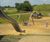 Adventure play trail walk, Great Notley Country Park 0