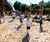 Play area, Martin Mere Wetland Centre 2