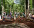 Bespoke climbing forest, Coombe Abbey Country Park 2
