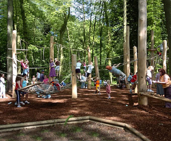 Bespoke climbing forest, Coombe Abbey Country Park Timberplay ESI