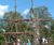 Princess Diana Memorial playground, Kensington Gardens 7
