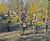 Richter Spielgeräte wood climbing structure - timber outdoor climbing frame 5