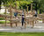 Richter Spielgeräte wood climbing structure - timber outdoor climbing frame 9