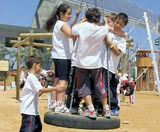 Richter Spielgerate Car Tyre Swing - on this page
