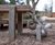 Adventure playground for National Trust at Belton House 5