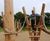 Adventure playground for Yorkshire Wildlife Park 9