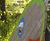 Richter Spielgerate Big Fish slide and ramp 2