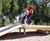 Big See-saw Platform - large timber playground see-saw for group play 1