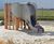 Castle Hill Play Area, Ebbsfleet  4