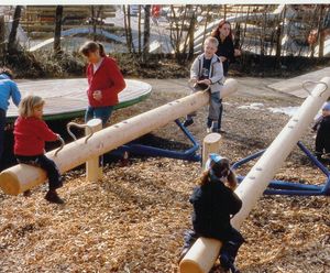 Richter Spielgeräte Double See-Saw