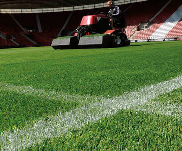 Seed and fertiliser sports pitch renovation package