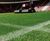 Seed and fertiliser sports pitch renovation package 0
