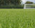 Agrosil LR 0-20-0 (+20% Silicate) - pre-seed fertiliser 1