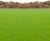 G5 Spring/Summer Booster 9-7-7 - quick-release fertiliser 2