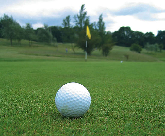 Images for A10 grade 'A' golf tees and divot repairs seed mixture