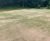 Battling thatch with 007 creeping bentgrass at Otley GC 1