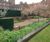 Topsoil for grounds at Eton College 0