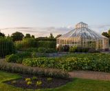 Topsoil for RHS Hyde Hall Global Growth Vegetable Garden - on this page