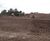 Landscape20 - multi-purpose topsoil for landscaping and sports fields 5